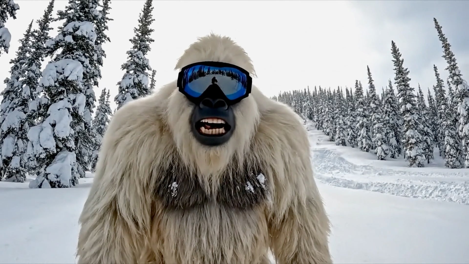 靴 YETI YETI !!! Yeti Boo